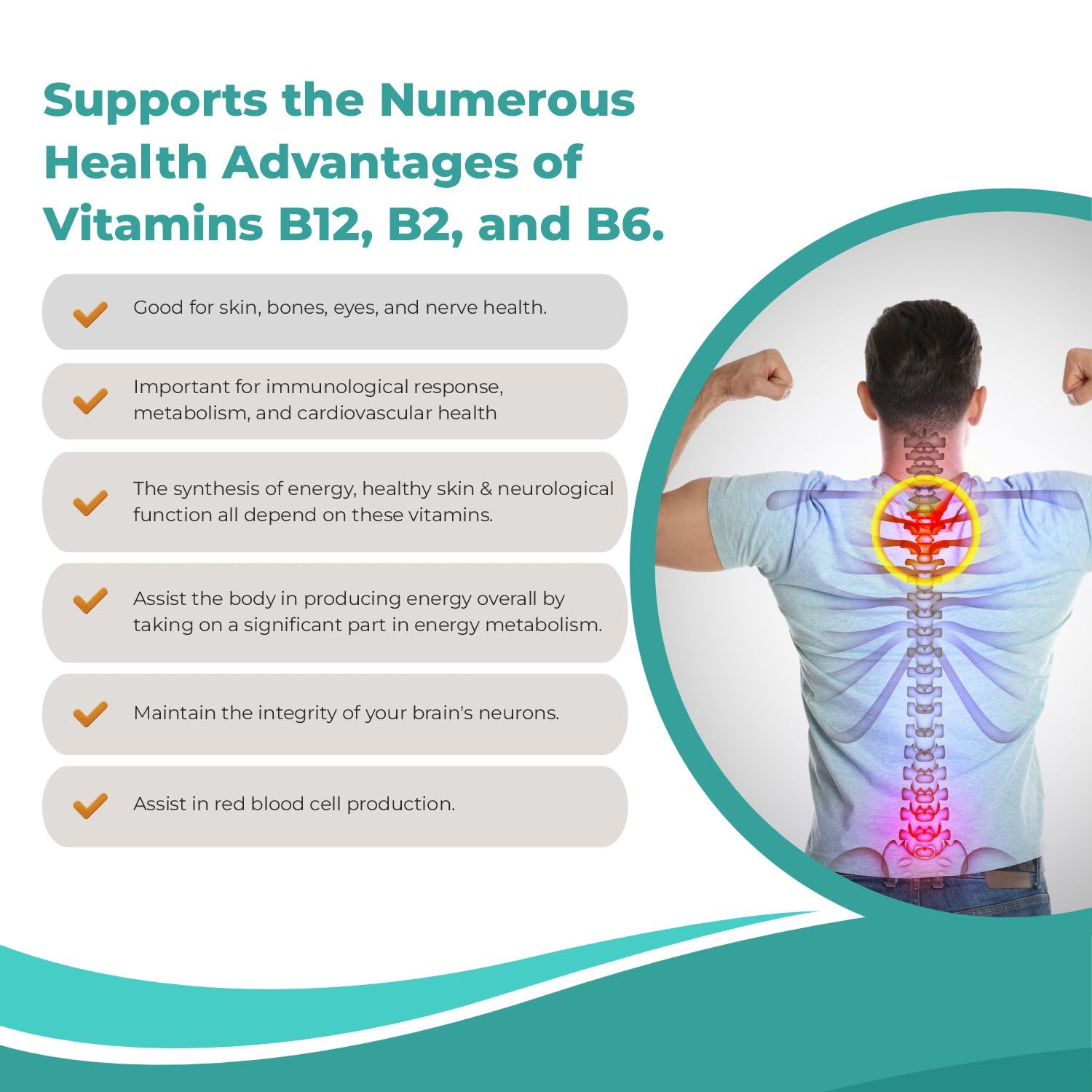 SwissLife Forever Nerve Care Tablets | Nerve Care Multivitamins Supplements with Curcumate 95 & Alpha Lipoic Acid – Pack of (60 Tablets- Pack of 2) For Men & Women