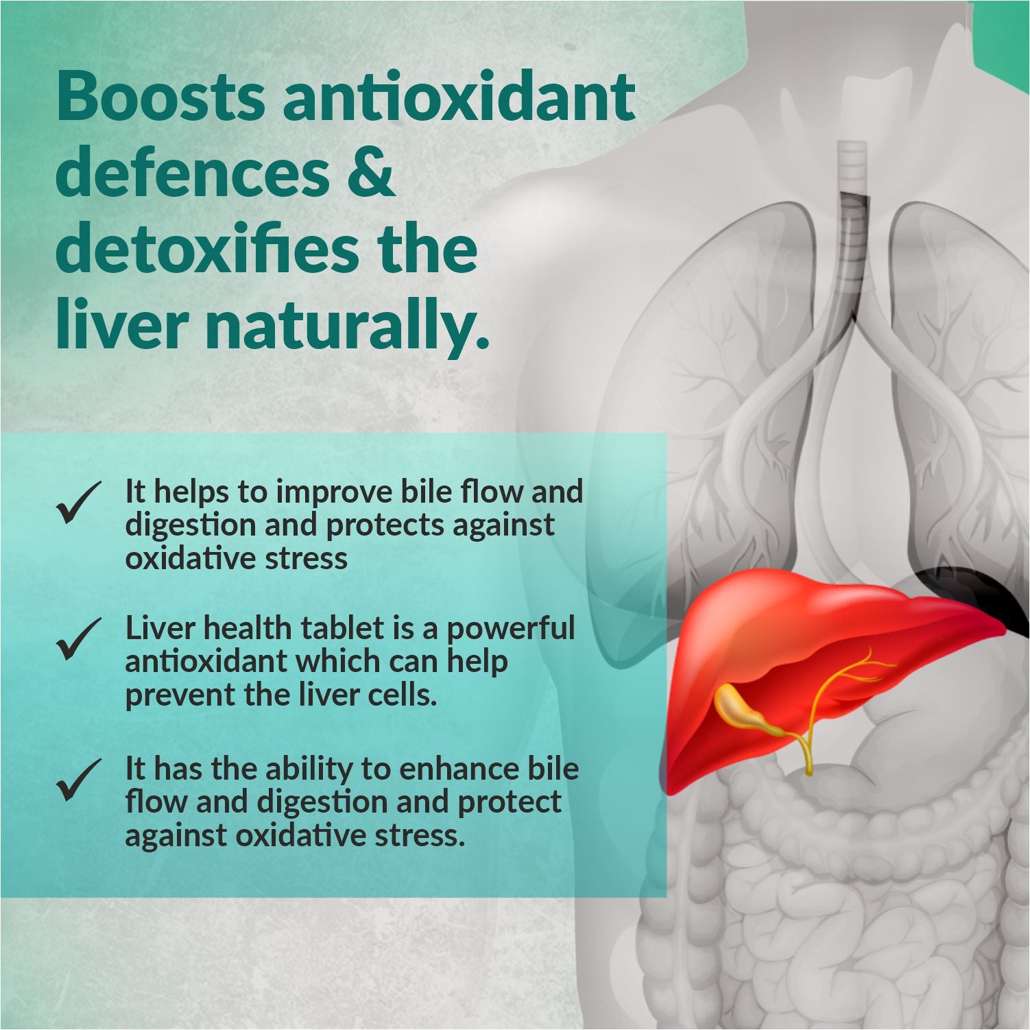 SwissLife Forever Liver Health Tablets | May Support Healthy Bile Flow & Digestion | For Men & Women | 60 Tablets